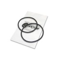 Quantum Fuel Systems Fuel Pump Tank Seal / Gasket for the KTM 1050 Adventure '15-23, 1190 Adventure '14-23 & etc. Quantum Fuel Systems Fuel Pump Tank Seal / Gasket for the KTM 1050 Adventure '15-23, 1190 Adventure '14-23 & etc.